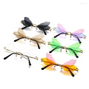 Солнцезащитные очки нерегулярные Dragonfly Wing Fashion Trend Eglasses винтажные чистые океанские очки UV400 Солнце