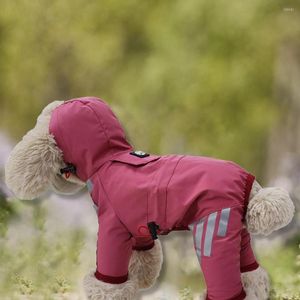 Dog Apparel Lightweight Stylish Full Body Coverage Brim Rain Jacket Perfect Fitting Non-sticky For Teddy