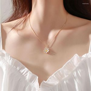 Kedjor Sweet Small Daisy Gold Color Handgjorda CLAVICLE Kedjhalsband för kvinnor Girls Luxury Simple Fashion Sweater Smycken