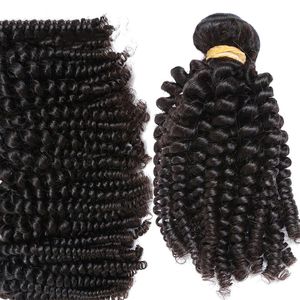 Funmi Hair Bouncy Curly Afro Afro Kinky Curly Peruvian 3 pacotes com 4x4 Fechamento de renda Free Parte Natural Color 10-20 polegadas