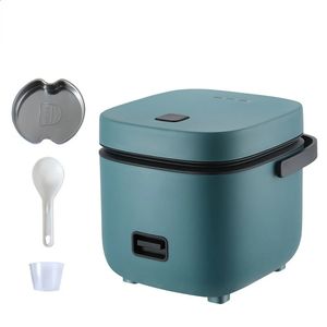 Thermal Cooker 1.2L Rice cooker 12 people rice cooker small household rice cooker can cook rice and cook electric cooker 220V 231118
