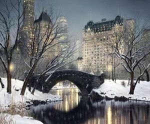 Crepuscolo a Central Park di Rod Chase Dipinto a mano HD Stampa Città Paesaggio Arte Pittura a olio su tela Varie dimensioni skeb6841935