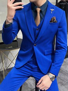 Мужские костюмы 2023 бренд Royal Blue Casual Mens Suit Swedum