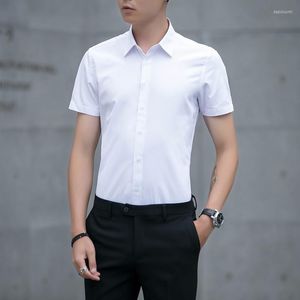 Men's Dress Shirts Summer Men's Non-ironing Slim Business Work And Blouses Soild Short Sleeve Tees Leisure For Men