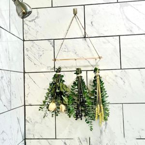 Fiori decorativi Grazioso ramo di eucalipto con un odore gradevole pieno di vitalità Foglie naturali Forniture per la casa