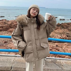 Kvinnors dike rockar 2023 vinterjacka faux päls krage kappa huva löst koreansk avslappnad varm mode down bomull ytterkläder parka