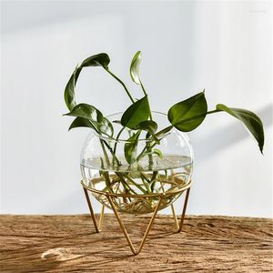 Vases Modern Simple Metal Bracket Glass Decoration Tableware Light Luxury Atmosphere Candle Holder Desktop Hydroponic Flower H