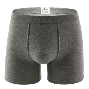 Underpants Men's Add Velvet Underwear Winter Thick Cotton Keep Warm Shorts Plus Long Legs Boxers Pants 230419
