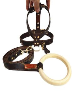 7 Styles Leather Dogs Harnesses Leashes Classic Baroque Designer Bichon Harness Fashion Adjustable Bulldog Leash7129174