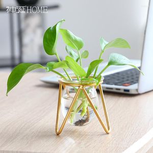 Vases Minimalist Office Kitchen Hydroponics Luxury Glass Gold Small Vaso Decorativo De Luxo Nordic Home Decor YY50HP