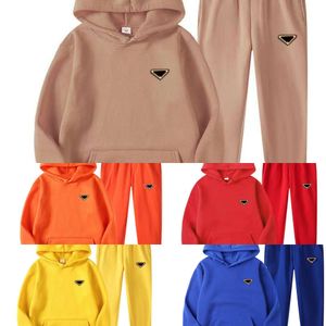 2023 Men's and Women's Two Pieces Tracksuits Outfit High Neck Hoodies Sweatshirt Pants Tracksuit 2022 Plus Size Streetwear Casual Suit a1