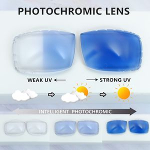 Small Diamond Cut Photochromic Lenses Two Colors Lenses 4 Season Interchangble Lens Color Change For Carter Sunglasses No Hole