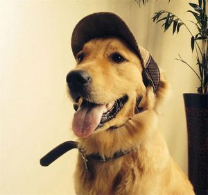 Abbigliamento per cani Cappello con lingua d'anatra per animali domestici carino, piccolo, medio e grande, orecchie aperte da baseball, regolabile, a prova di sole, per gatti, per sport all'aria aperta