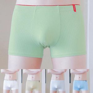 Underpants Sexy Mens Shorts Convex Pouch Boxer Briefs Cotton Male Panties Breathable Underwear Stretch Beachwear For Boys