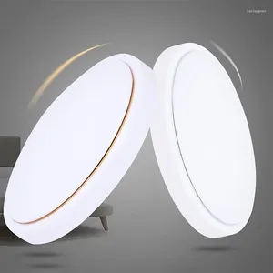 Plafoniere 24/36/48W Semplice Argento Filo d'oro LED Rotondo Acrilico Camera da letto Lampada Apparecchio di illuminazione domestica per soggiorno Foyer