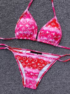 2023 Designer-Badeanzug-Frauen-Weinlese-Zapfen-Mikrovertuschung-Frauen-Bikini-Satz-Badebekleidung gedruckte Badeanzüge Sommer-Strand-Abnutzungs-Schwimmen-Klage-Größe S-XL AAA44