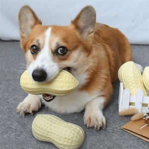 Giocattoli per cani Mastica molari resistenti al morso che producono suoni per animali domestici un dispositivo di soccorso Corgi Teddy Chai piccola palla giocattolo per cani 231118