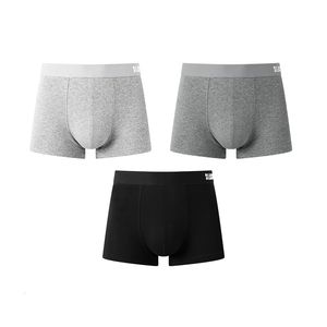 Underpants Semir Underpants Men Cotton Antibacterial Breathable Boxer Pants Boys Youth Boxers Man Summer Thin Underwear 230420