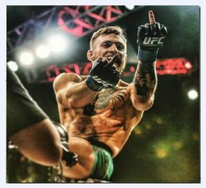 Sälj 231 Conor McGregor Motivational Boxing Paintings Art Film Print Silk Poster Hemväggdekor 60x90cm1187523