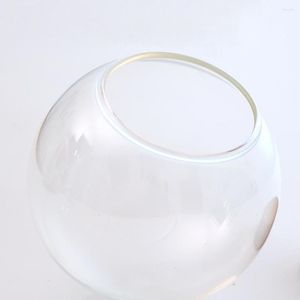 Vaser 5x glasbollskulformat lock saftigt terrarium flasklandskap display cloche med