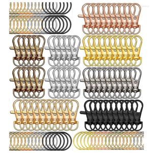 Anahtarlıklar 140pcs Keyrings Carabiner Keyasyon döner Snap Hook Istakoz Kelesi Anahtar Zincir Klipsi