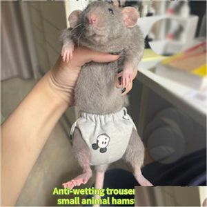 Küçük hayvan malzemeleri hayvanlar hamster kıyafetleri evcil bebek bezi geçirmez pantolon çocuk bezi sincaplar kobay sincapları chinchillas 230925 damla dhn6b