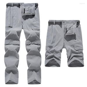 Herrenhose Elastisch Lässig Herren Sommer Leicht Sport Schnelltrocknend Wasserdicht Abnehmbar Camping Trekking Klettern Cargo Damen