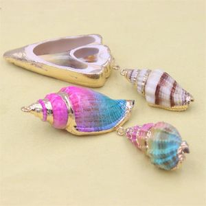 Charms Trend Fashion 5st/Pack Natural Large Mix Color Sea Conch Shell Bead Making For Pendant Necklace Armband Smycken DIY Accessries