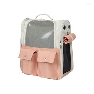 Cat Carriers Outdoor Portable Bag Rucksack Pet Large Capacity Space Canvas Handtasche