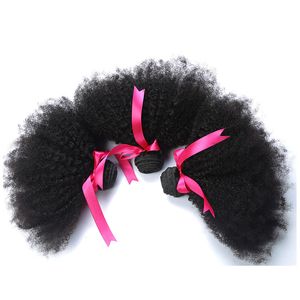 Brasilianskt mänskligt hår afro kinky curly 3 buntar dubbel wefts 10-22 tum naturlig färg virgin hårprodukter