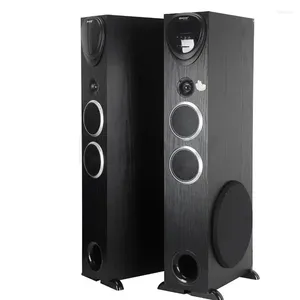 Altoparlanti combinati Una coppia di altoparlanti a tre vie da pavimento da 10 pollici ad alta potenza 2.1 con doppio basso Home Theater Hifi Bluetooth attivo 200 W