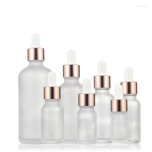 Lagringsflaskor 5 ml-50 ml tom frostad dropper med glaspipetter eterisk olja för serum