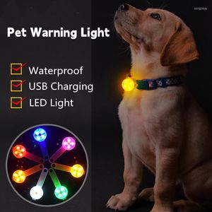 Dog Collars Waterproof LED Pet Collar Pendant Night Safety Luminous Light Flashing for Accessory