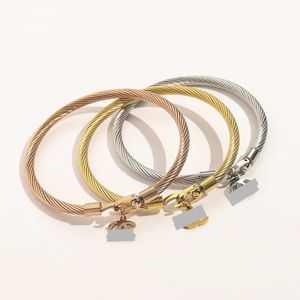 Moda vintage, leggero, di alta qualità, ciondolo con piccola fragranza, bracciale scavato in acciaio al titanio, bracciale personalizzato in stile cool