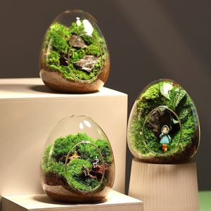 Doniczki Kreatywne szklane butelki w kształcie jajku sukulent wazon hydroponiczny mięsisty mikro krajobraz terrarium mchu dekoracja domowa 230421