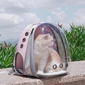 Cat Carriers Portable Backpack Fashion Outdoor Transparent Waterproof Bag Carrier Ventilation Lightweight Bolsa Pet