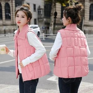 Gilet da donna 2023 Autunno Inverno Giù Gilet di cotone Alla moda lavorato a maglia con grande risvolto Cappotto trapuntato imbottito senza maniche Parka Giacca