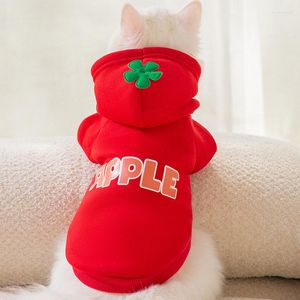 Costumi per gatti ZOOBERS Felpa con cappuccio in pile Felpa con cappuccio per il freddo Ispessimento morbido Maglione caldo Abbigliamento invernale per gattino