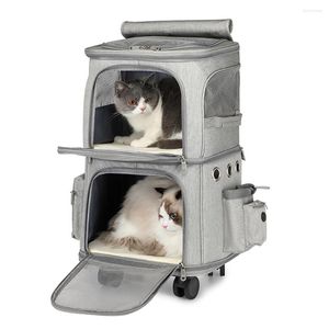 Katzenträger Doppellagiger Haustier-Trolley für 2 Katzen Hundeträger mit Outdoor-Tasche, tragbarer Korb, faltbarer Rucksack, Gepäck, Reisen