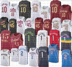 2023 New Mens Orleans Atlantas Hawk Pelican Basketball Jersey S-2XL Zion 1 Williamson Trae 11 Young Spud 4 Webb Ivory White Dejounte Murray 5