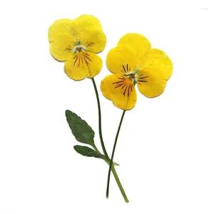Dekorativa blommor 2,5-3 cm/1224pc verklig naturtorkad pressad viola cornuta fowers grenar i gul torrpressblomma för epoxiharts