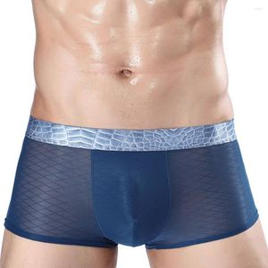 Underpants Ice Silk Underwear Mens Seamless Boxer Briefs See Through Panties Male Breathable Sheer Knicker Trunks Man's Pantie
