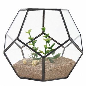 Black Glass Pentagon Geometric Terrarium Container Window Sill Decor Flower Pot Balcony Planter Diy Display Box Y200723212r