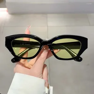 Sunglasses KAMMPT Y2k Cat Eye 2023 Korean Style Candy Color Women Shades Ins Stylish Brand Design UV400 Gradient Eyewear