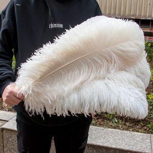 Party Decoration 10 pieces of colorful ostrich feathers 15-45cm for party wedding home decoration natural ostrich feather table central decoration process 231122