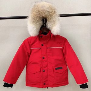 Crianças para baixo casaco ganso designer jaqueta bebê menino menina jaquetas grossas casacos quentes gola de pele crianças parka moda clássico inverno meninas roupas com capuz longo parkas