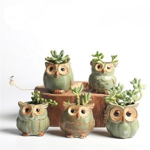 5 Pcs Set Creative Ceramic Owl Shape Flower Pots Planter Desk Cute Design Succulent Y200723279q