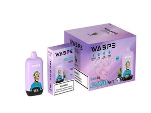 Bezpłatna wysyłka Europejska bestseller Randm Dostępowy Vape Puff 12000 Waspe 12K Pod Pen 20ml Prefilled Ejuice 0% 2% 5% SALT NIC Elektroniczne zestaw papierosów zaczep