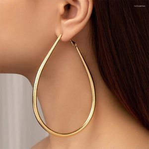 Hoop Earrings Post Stud Egg Shaped Women Girls Gold Silver Plating Fashion Jewelry Accessories Party Gift 2023 Style