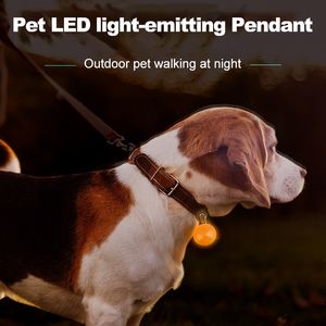 Colarinhos de cachorro colares luzes led luminosas de segurança colarinho de cachorro pingente brilhante acessórios para animais de estimação brilhando no colar brilhante colar colar de cachorro 230422